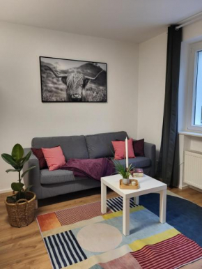 ALA Living Stadt-Schwärmer Apartment 10min zum Ulmer Münster & Ulmer Altstadt, WLAN & Arbeitsplatz